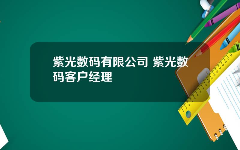 紫光数码有限公司 紫光数码客户经理